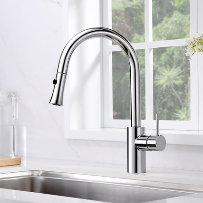 Single-Handle Pull-Down Sprayer Kitchen Faucet with 2-Function Sprayhead 298 in Chrome