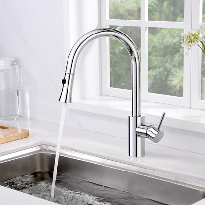 Single-Handle Pull-Down Sprayer Kitchen Faucet with 2-Function Sprayhead 298 in Chrome