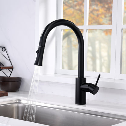 Single-Handle Pull-Down Sprayer Kitchen Faucet with 2-Function Sprayhead 298 in Matte Black