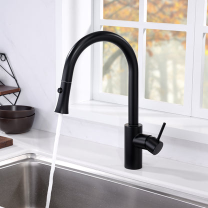 Single-Handle Pull-Down Sprayer Kitchen Faucet with 2-Function Sprayhead 298 in Matte Black