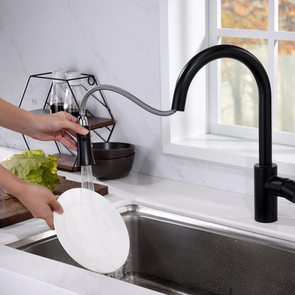 Single-Handle Pull-Down Sprayer Kitchen Faucet with 2-Function Sprayhead 298 in Matte Black