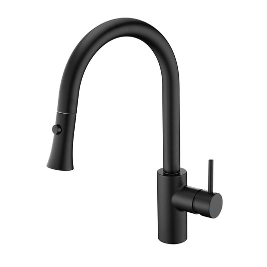 Single-Handle Pull-Down Sprayer Kitchen Faucet with 2-Function Sprayhead 298 in Matte Black