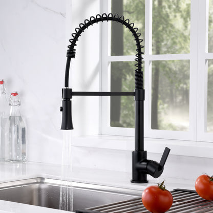 KTS13-TM Single-Handle Pull-Down Sprayer Kitchen Faucet with 2-Function Sprayhead in Matte Black