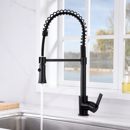 Single-Handle Pull-Down Sprayer Kitchen Faucet with 2-Function Sprayhead in Oil Rubbed Bronze