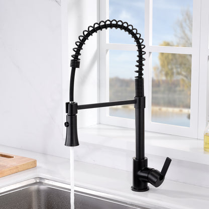 Single-Handle Pull-Down Sprayer Kitchen Faucet with 2-Function Sprayhead in Oil Rubbed Bronze