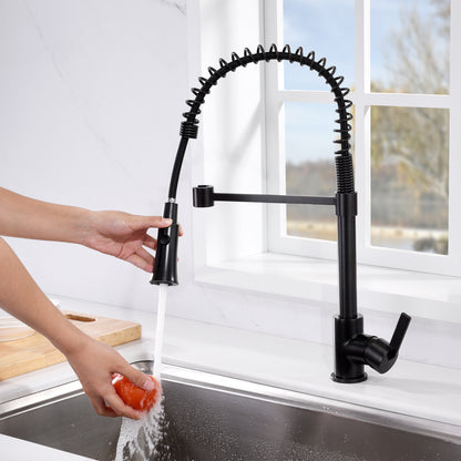 Single-Handle Pull-Down Sprayer Kitchen Faucet with 2-Function Sprayhead in Oil Rubbed Bronze