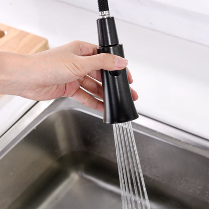 Single-Handle Pull-Down Sprayer Kitchen Faucet with 2-Function Sprayhead in Oil Rubbed Bronze