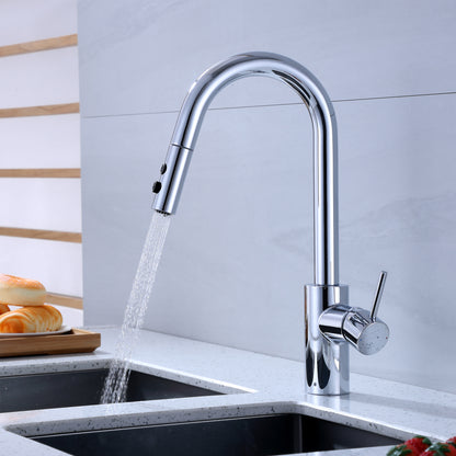 Single-Handle Pull-Down Sprayer Kitchen Faucet with 2-Function Sprayhead 206 in Chrome