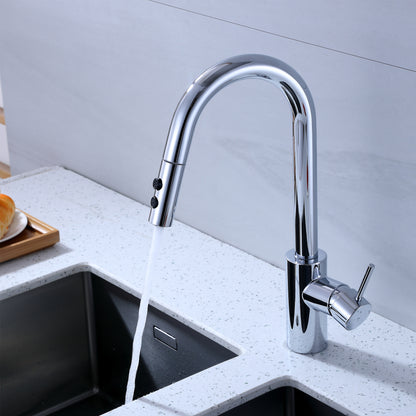 Single-Handle Pull-Down Sprayer Kitchen Faucet with 2-Function Sprayhead 206 in Chrome