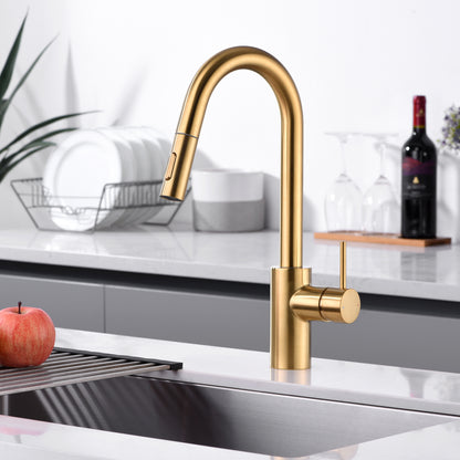 KTS21-TG Single-Handle Pull-Down Sprayer Kitchen Faucet with 2-Function Sprayhead 206 in Brushed Gold