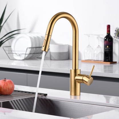 KTS21-TG Single-Handle Pull-Down Sprayer Kitchen Faucet with 2-Function Sprayhead 206 in Brushed Gold