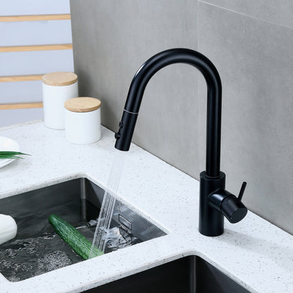 KTS21-TM Single-Handle Pull-Down Sprayer Kitchen Faucet with 2-Function Sprayhead 206 in Matte Black