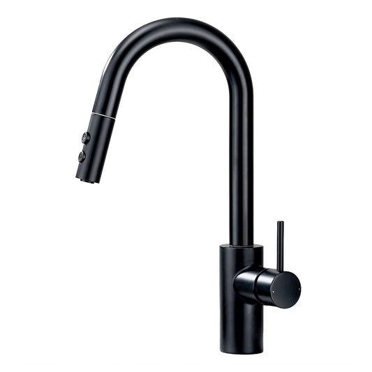 Single-Handle Pull-Down Sprayer Kitchen Faucet with 2-Function Sprayhead 206 in Matte Black