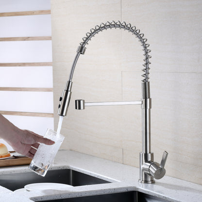 Single-Handle Pull-Down Sprayer Kitchen Faucet with 2-Function Sprayhead in Brushed Nickel